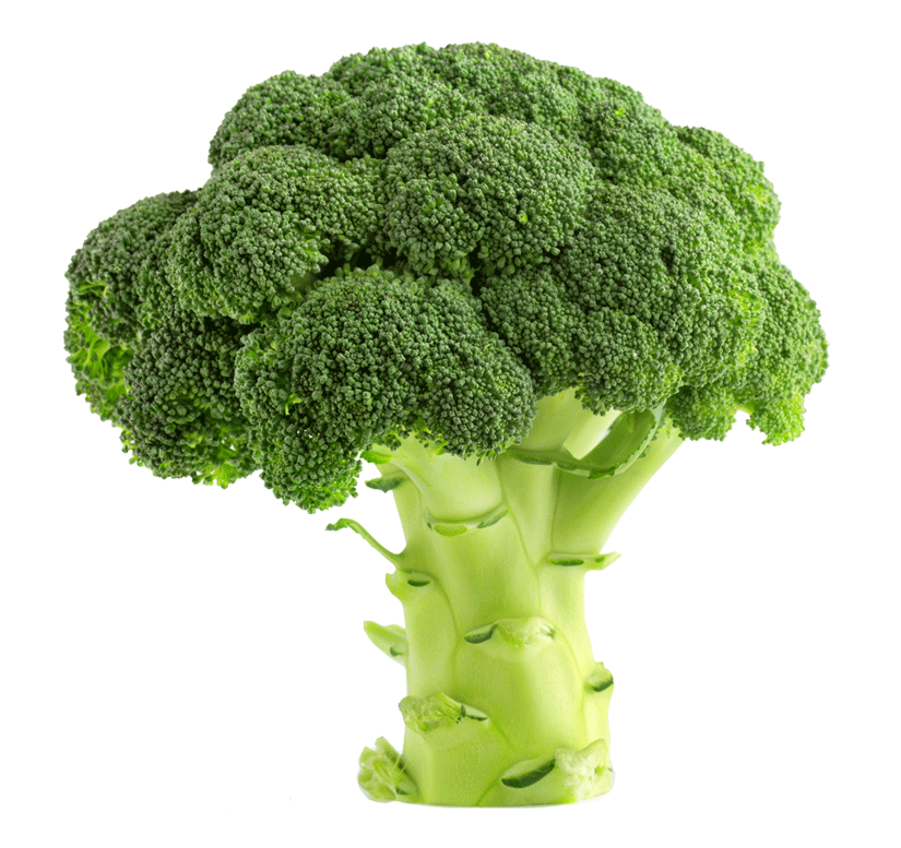 Broccoli / Brokoli / ব্রকলী  দেশী বাজার / देशी बाजार 