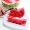 Stainless Steel Watermelon Slicer / Pemotong Tembikai Keluli Tahan Karat - Image 2